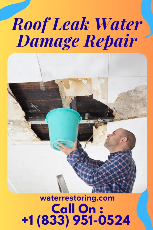 Roof Leak Water Damage Repair in Combined Locks, WI