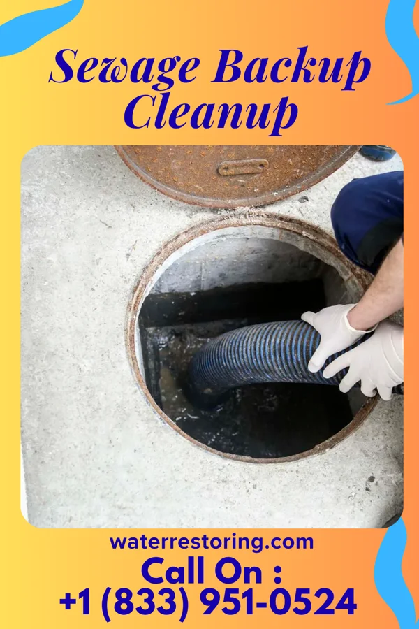Sewage Backup Cleanup in Combined Locks, WI